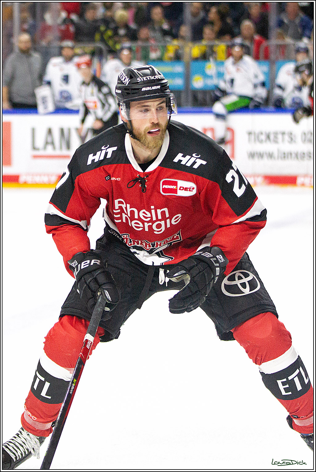 PENNY DEL;  Koelner Haie - Straubing Tigers; Koeln, 15.10.2021